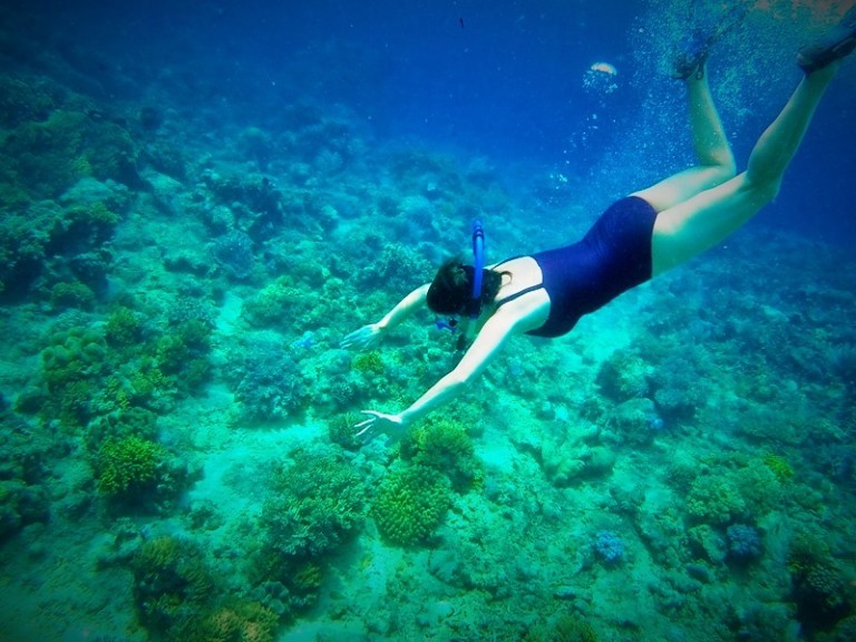 Snorkeling Off Bunaken Island Manado Indonesia Tonga Time