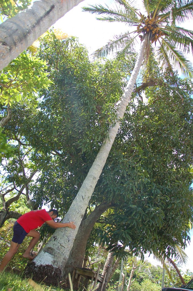 Toni at base of tree