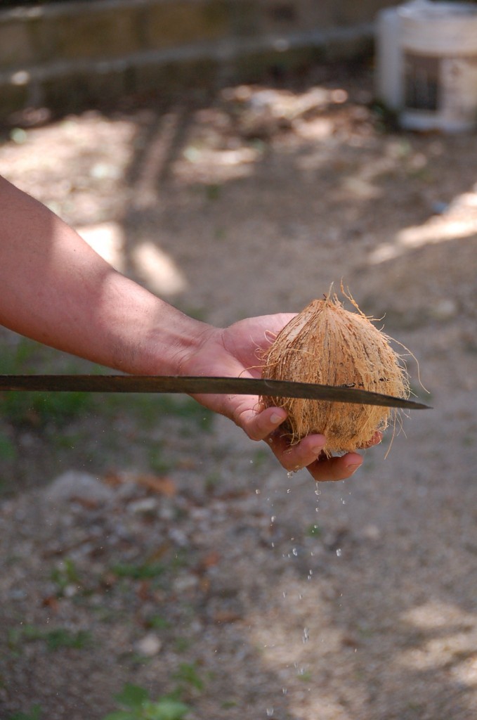 Cracking the Coconut