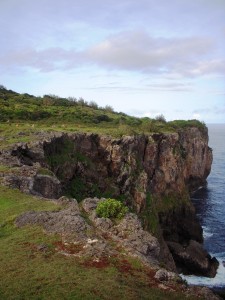 'Eua South Side: Cliffs of Rock Garden and Feral Horses