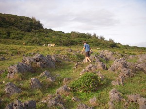 Hike through Rock Garden and Feral Horses, 'Eua (Tonga)