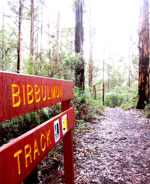 Bibbulmun Track.Pemberton NW Australia