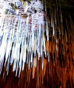 Lake Cave Stalactite Straws.Western Australia