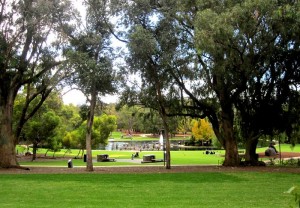 Kings Park. Perth Australia