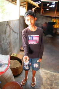 Bali coffee factory: Made showing raw, dried coffee beans.Munduk Bali