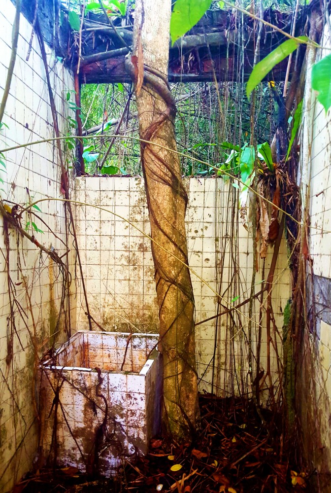 Rain forest restroom.balikpapan Indonesia