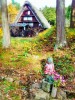 Small Shrine at Hida Folk Village.Takayama, Japan