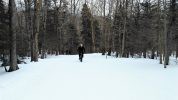 Fat Biking at Great Glen.Through the woods